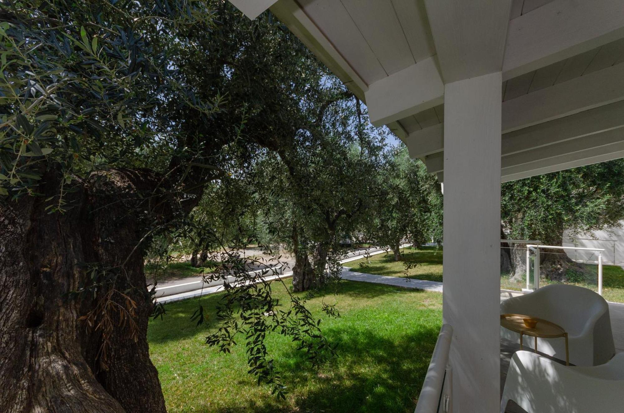 Agriturismo Giorgio Маттината Экстерьер фото