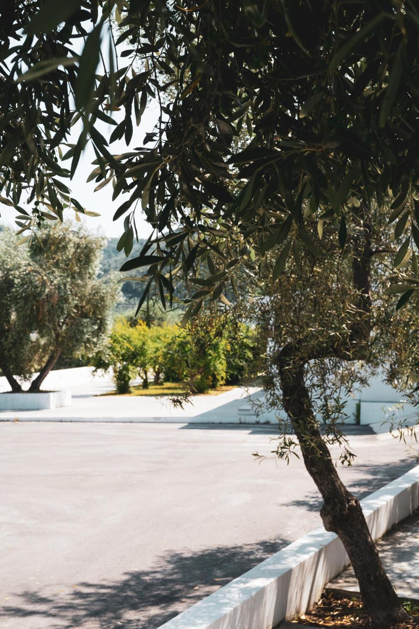 Agriturismo Giorgio Маттината Экстерьер фото