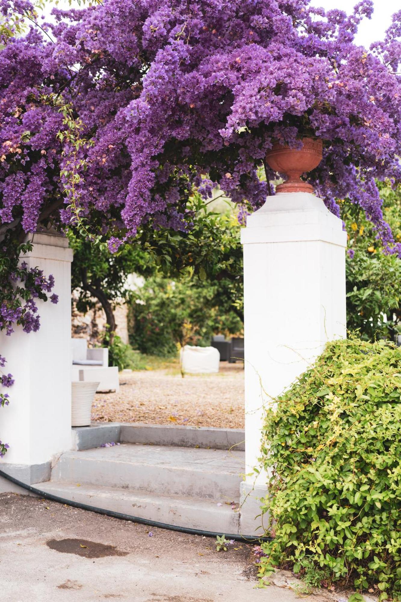 Agriturismo Giorgio Маттината Экстерьер фото