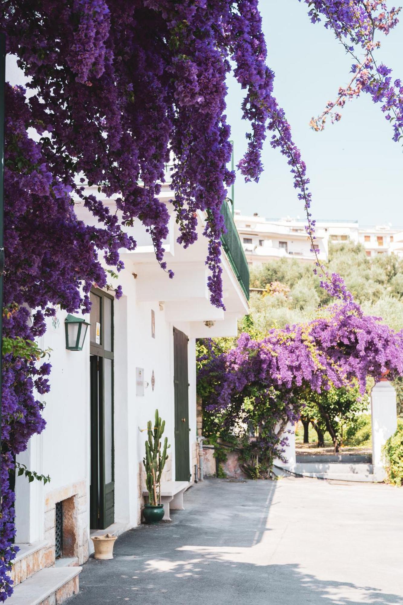 Agriturismo Giorgio Маттината Экстерьер фото