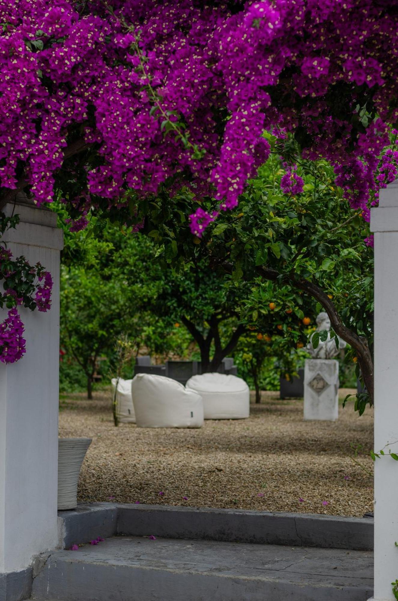 Agriturismo Giorgio Маттината Экстерьер фото